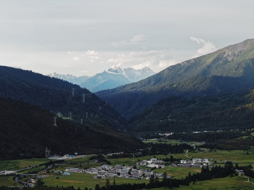 新高1 春休み 勉強 - 新高1 春休み 勉強
